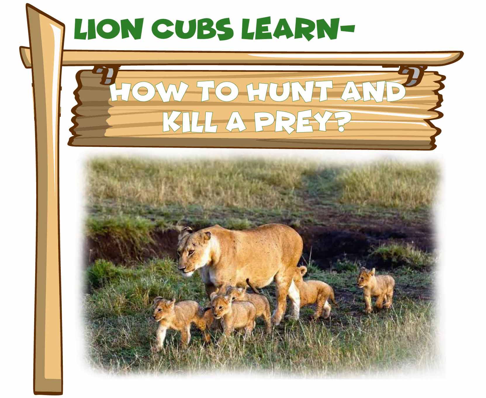 Upon of seasons earth dominion