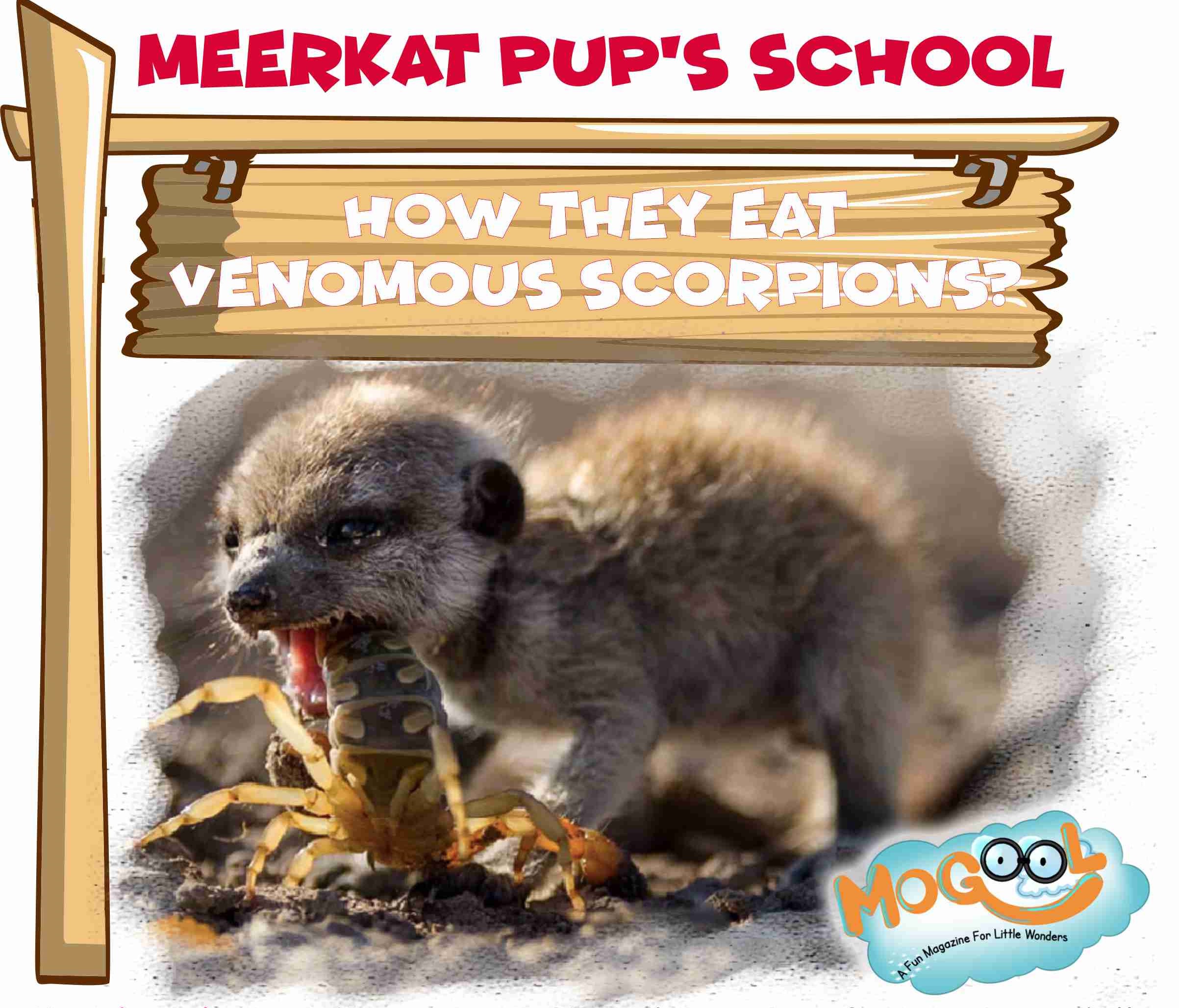 Upon of seasons earth dominion